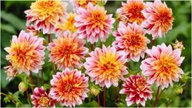 test12
